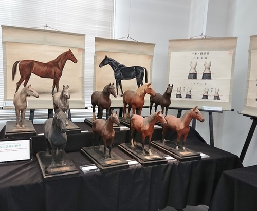 東京農工大学科学博物館「馬と獣医学」