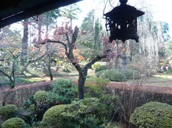 喜多院の庭園