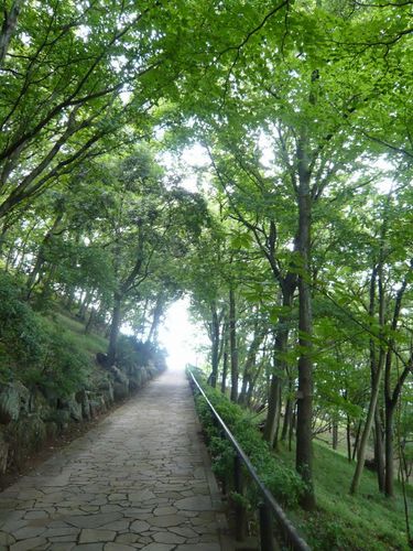 七沢森林公園